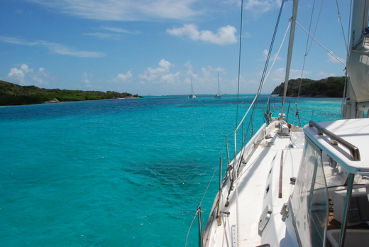 Fox_Tobago Cays.JPG