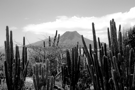 Isla Margarita 2