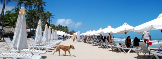 Isla Margarita 4