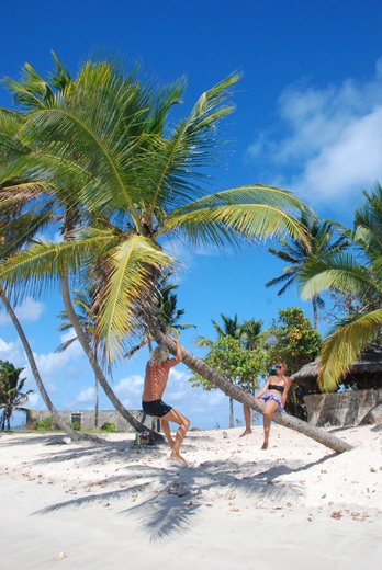 Mayreau palmy.jpg
