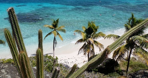Tobago Cays - ostrov Jamesby