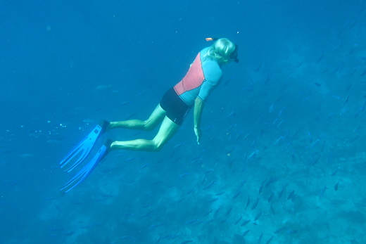 Šnorchlování u Pidgeon Island, Guadeloupe
