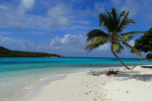 Tobago Cays
